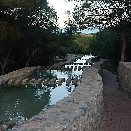 La Mata Playa , Apartment