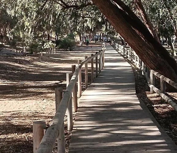 La Mata Playa , 公寓 托雷维耶哈