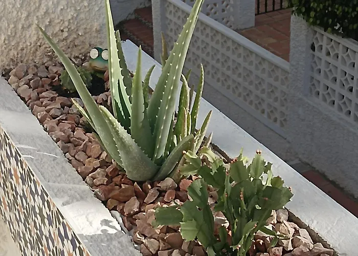 公寓 La Mata Playa , 托雷维耶哈