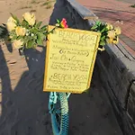 La Mata Playa , Торевьиа