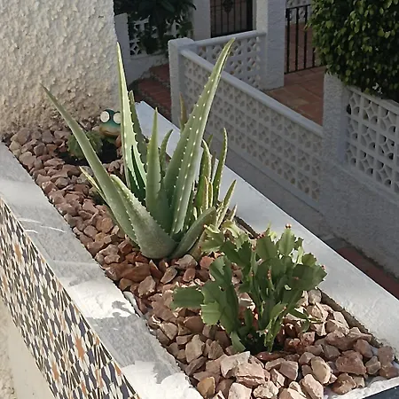 Апартаменты La Mata Playa , Торевьиа